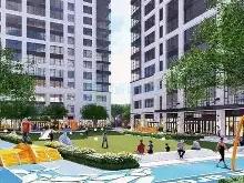 开云娱乐 -6月19日上海陆家嘴