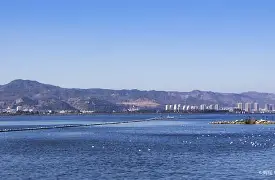 开云娱乐 -滇池山猫队爆冷燕山雄鲨队，棒球巡回赛上演耐力碾压对手！赛后更衣室沸腾(熊猫杯赛事棒球队规则)