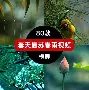 开云真人官网首页 -包含训练课后全明星赛传出新动向，斯图加特内部沟通，高层表态——目标明确，细节决定成败的词条